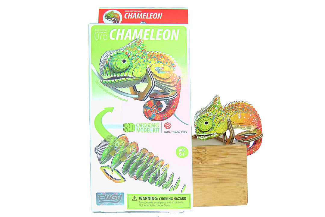 Chameleon 3D Model Kit – Chester Zoo Enterprises Ltd