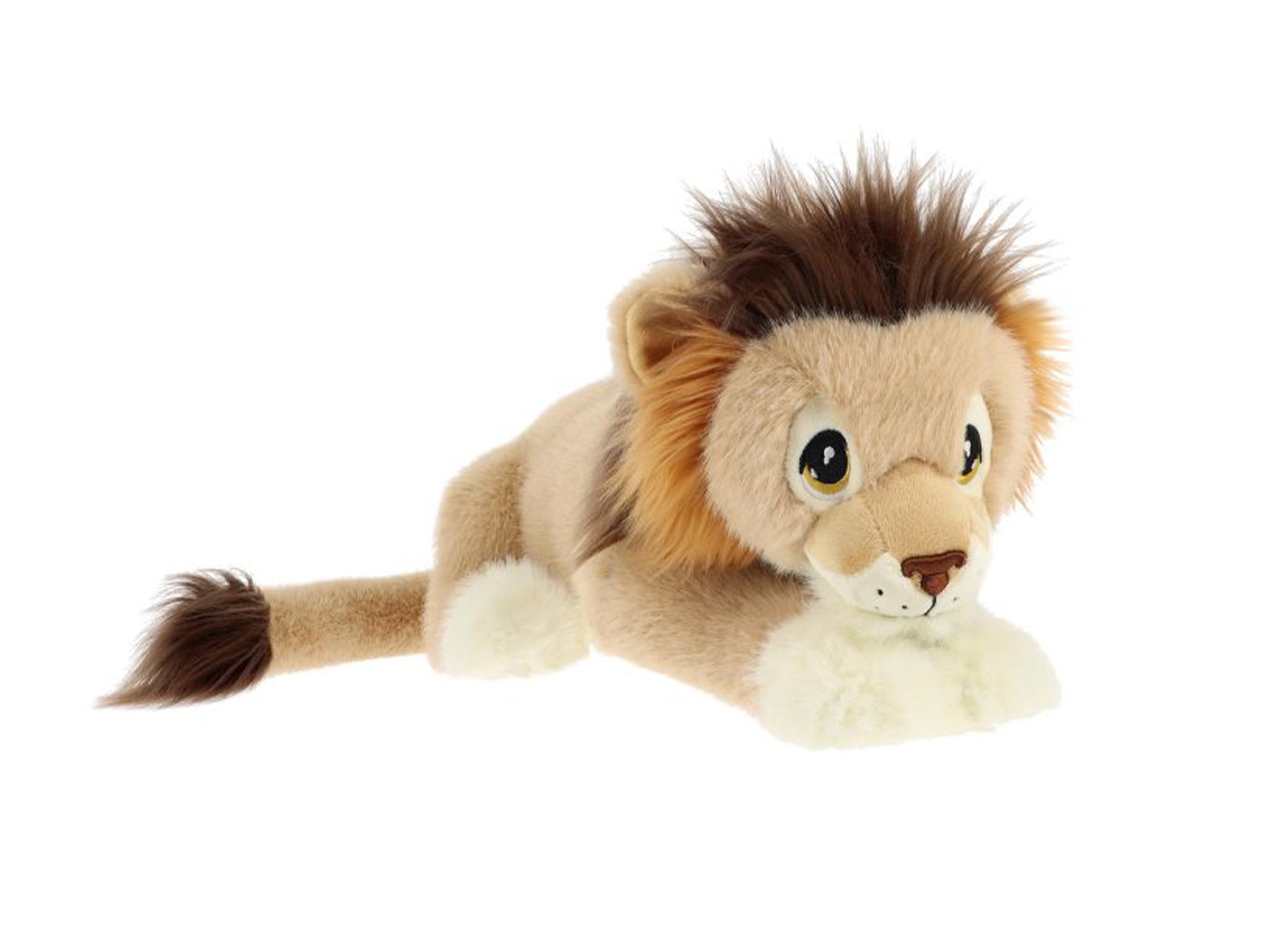 ASIATIC LIONS – Chester Zoo Enterprises Ltd