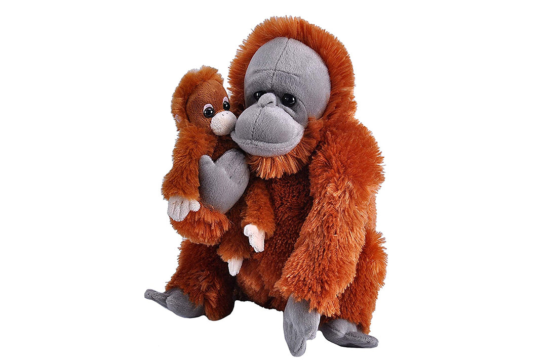 Mum and Baby Orangutans – Chester Zoo Enterprises Ltd