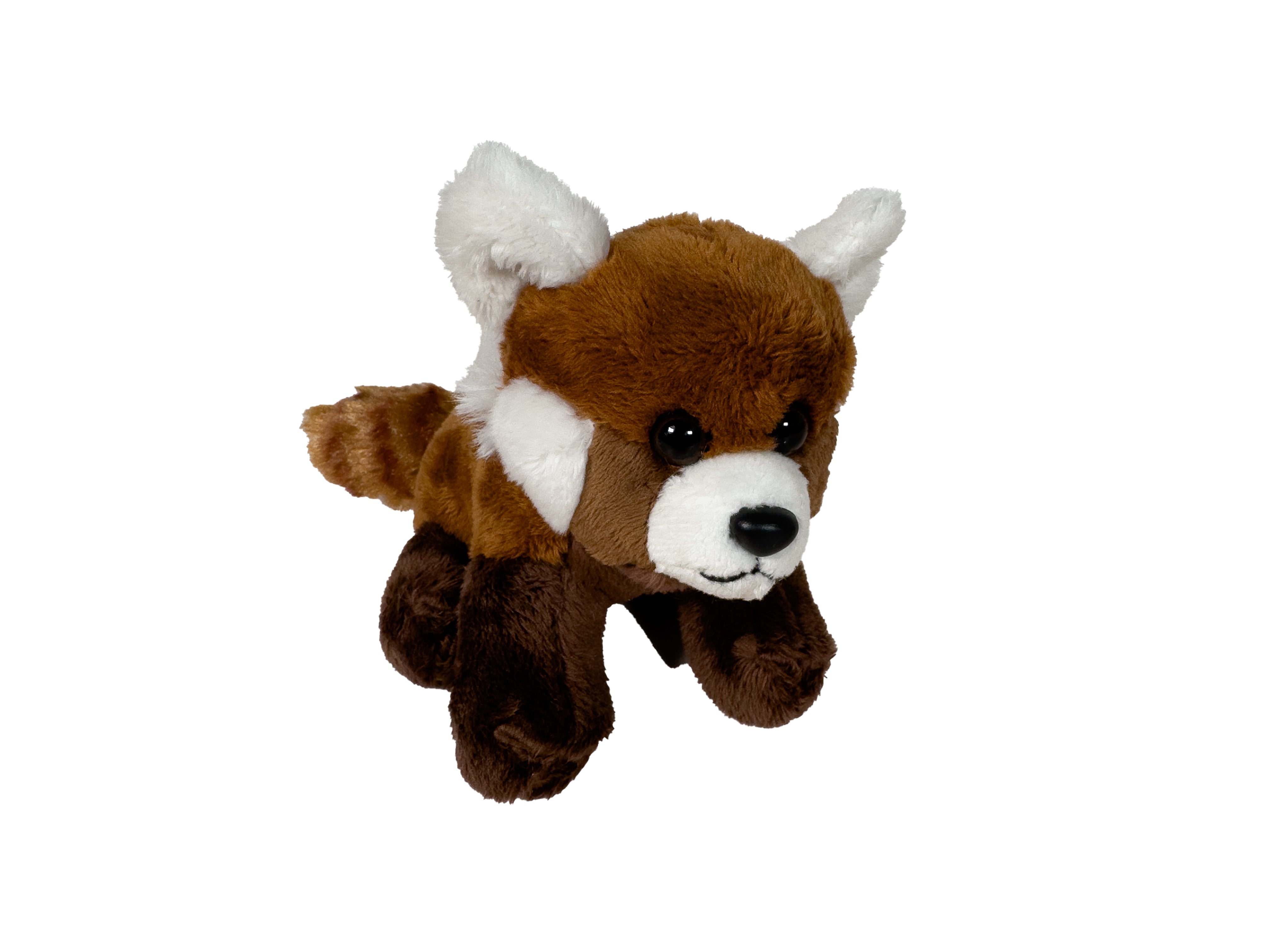 Pocketkins Eco Red Panda – Chester Zoo Enterprises Ltd