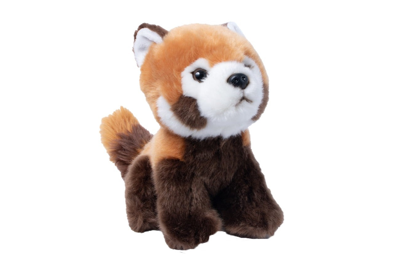 Sitting Red Panda – Chester Zoo Enterprises Ltd - Main Image