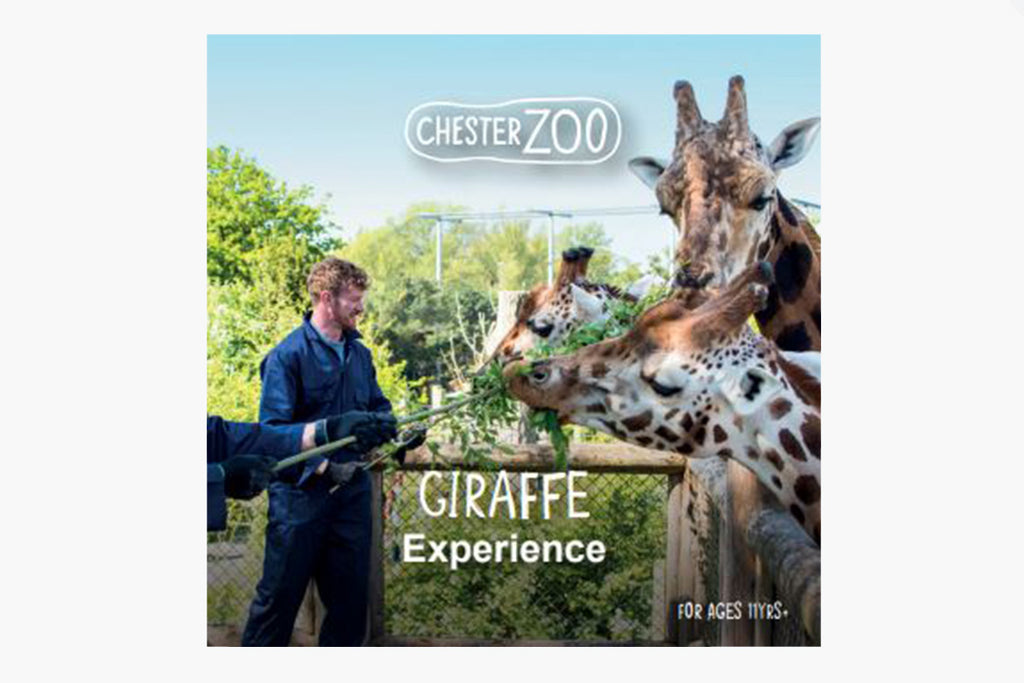 GIFT EXPERIENCES Chester Zoo Enterprises Ltd