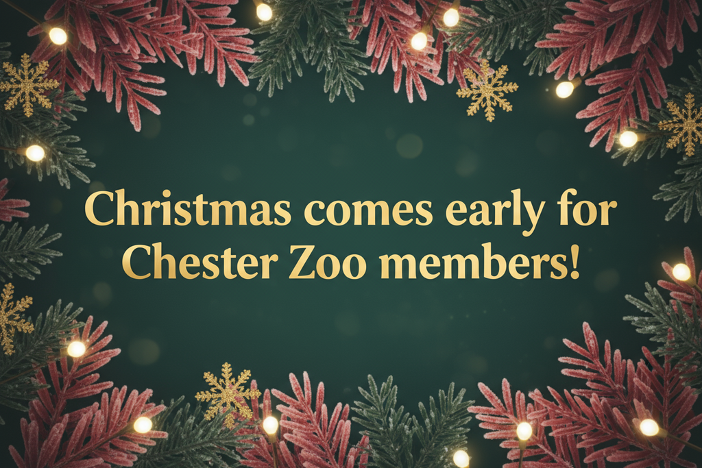 remove the "join now!" text